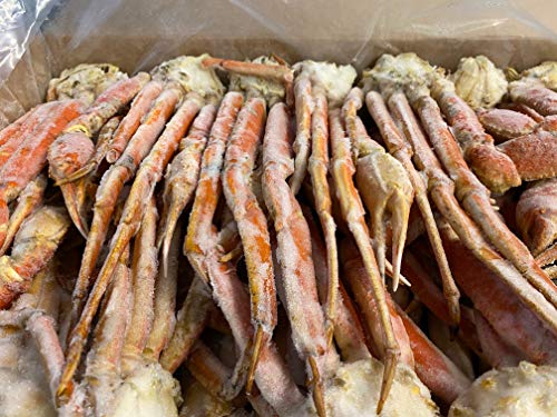 Premium Snow Crab Legs Clusters 5-8oz (10 Lbs) - Today Gourmet Foods of NC - Fresh Seafood for Grilling, Steaming & Special Occasions