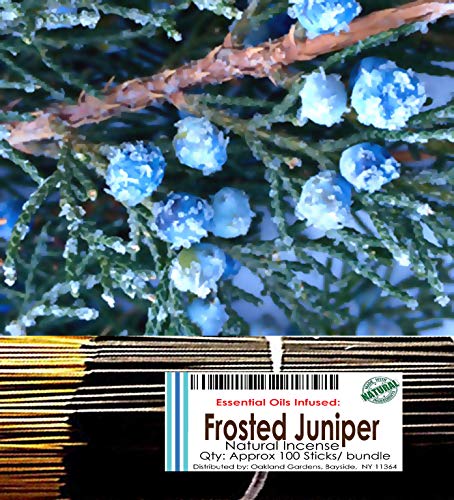 Frosted Juniper