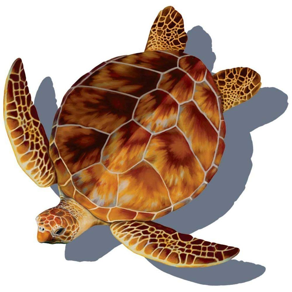 Loggerhead Turtle Porcelain Swimming Pool Mosaic Tile - 25