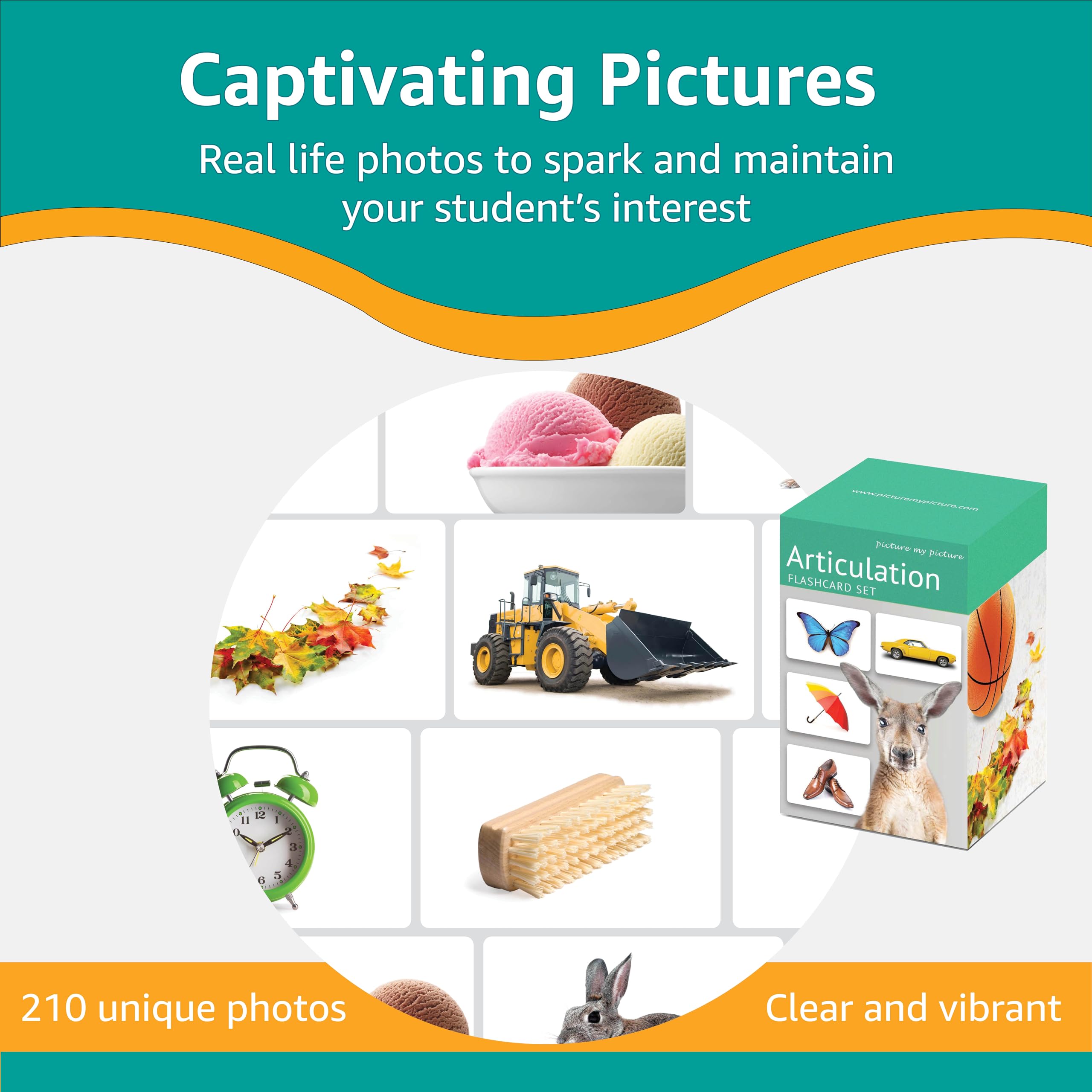 Articulated Flash Cards | Speech Therapy Materials | Autism Learning Tools | ESL Teaching Resources for Kids - Perfect for Classroom, Homeschool & Special Education