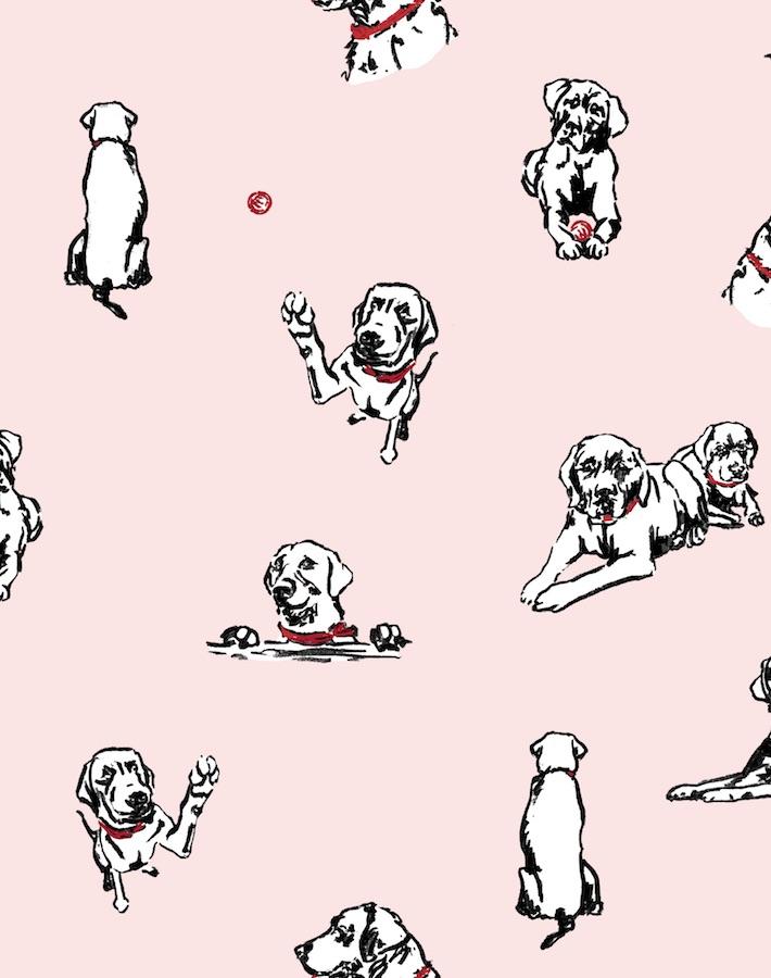 Nathan Turner Pink 'Nacho Toile' Wallpaper - Floral Vintage Peel & Stick Wallpaper for Bedroom, Dining Room, and Home Decor