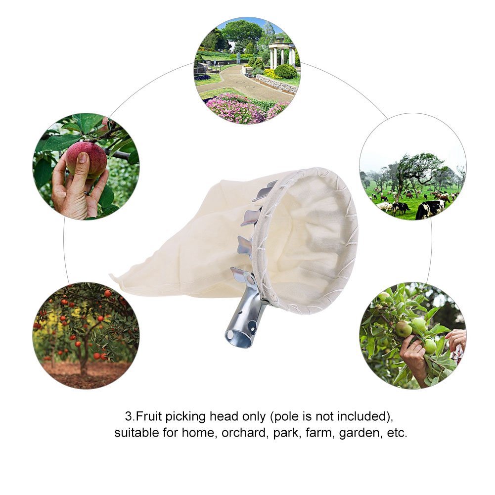 Yosoo Metal Fruit Picker Tool for Citrus, Pear, Peach - Garden Harvesting