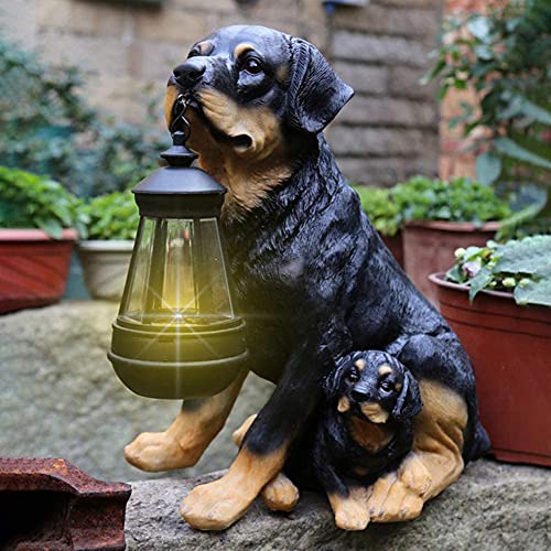 Rottweiler B