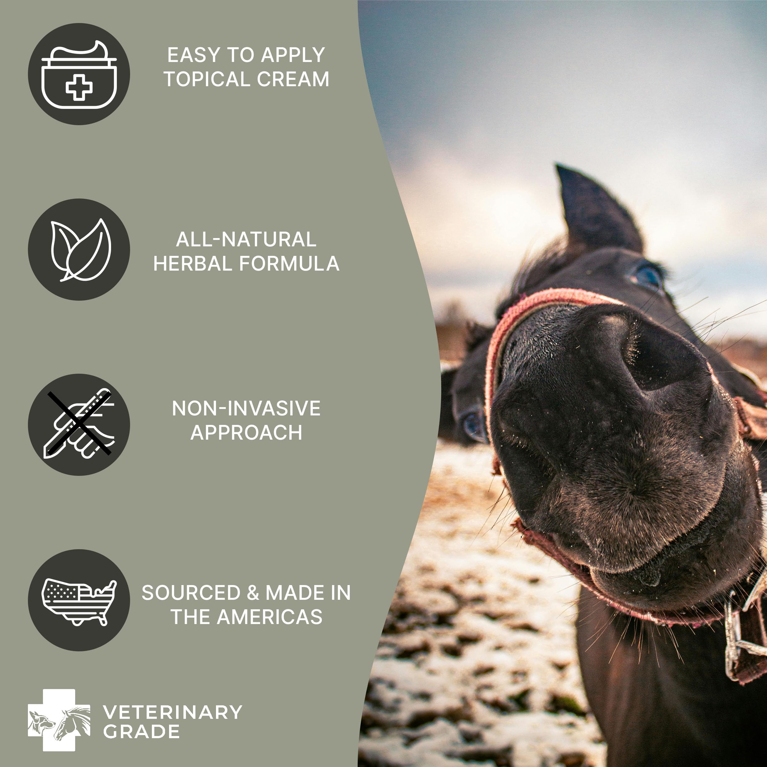 Vet Grade Horse Wellness Paste for Skin Anomalies - 4oz All-Natural Formula | Equine & Livestock Care | Promotes Healthy Coat & Soothes Skin Irritations for Horses, Ponies & Farm Animals
