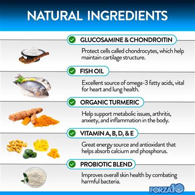 Forza10 Multifunctional Dog Supplement Chews - Supports Joint Health, Digestion & Immunity - Ideal for Active Dogs & Senior Pets
