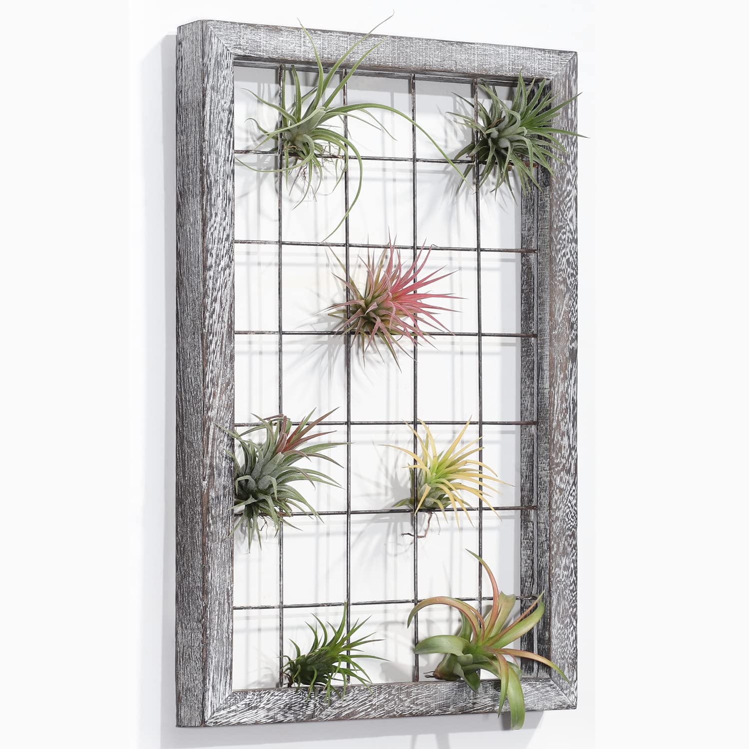 Rustic Brown Wooden Air Plant Holder - Wall Mounted Frame for Tillandsia Display | Perfect for Home, Office & Farmhouse Decor | Indoor Plant Hanger for Living Room, Bedroom & Bathroom