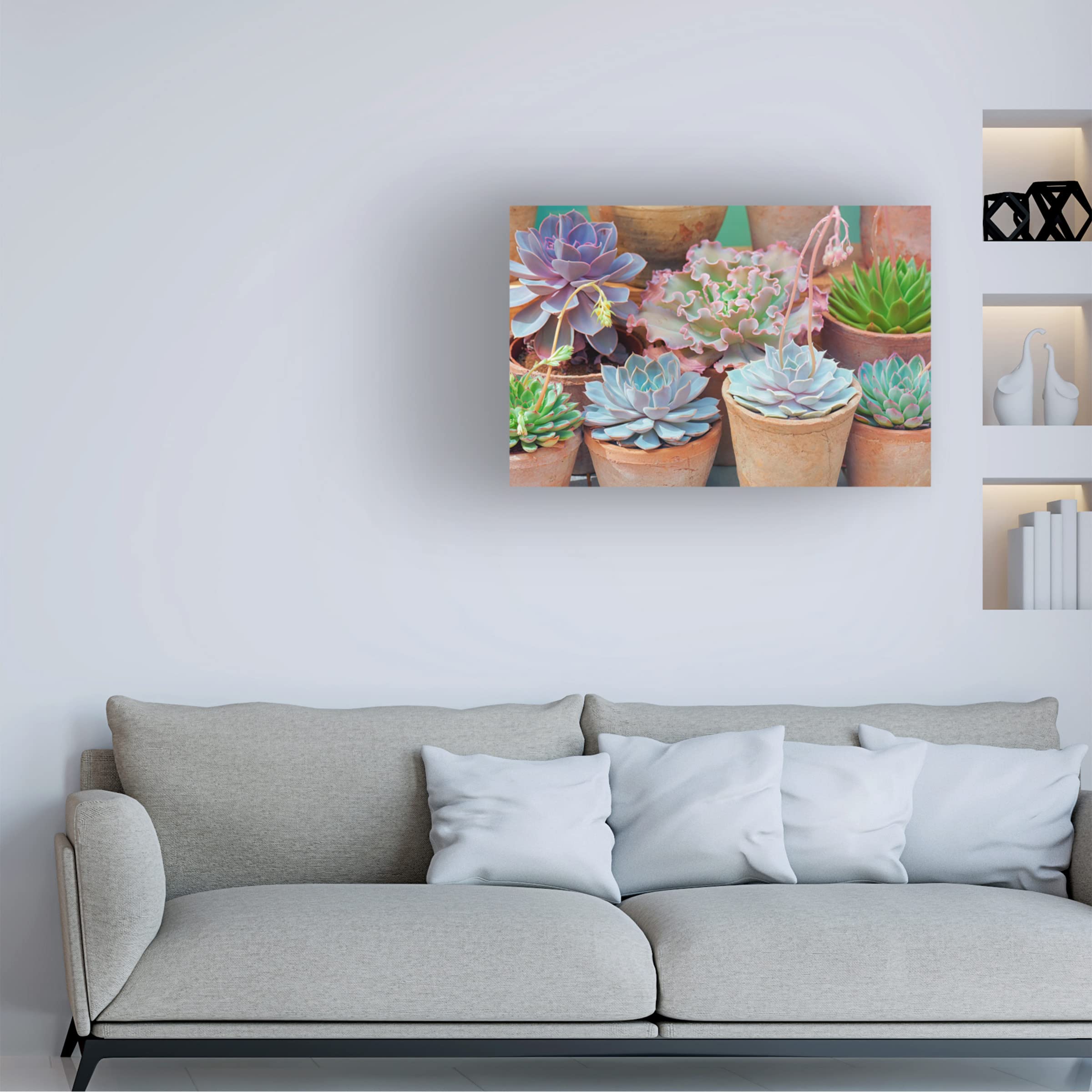 Trademark Fine Art 'Succulents in Terracotta Pots IV' Canvas Wall Art by Cora Niele - Perfect for Living Room, Bedroom & Office Decor
