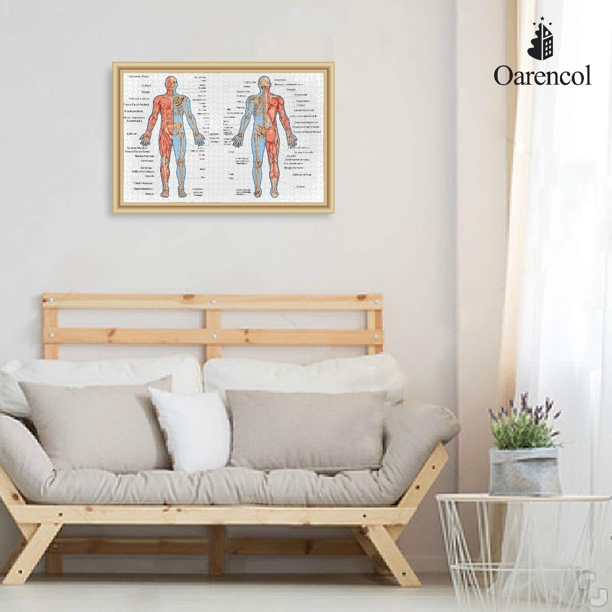 500-Piece Human Body Muscular System & Skeleton Anatomy Jigsaw Puzzle - Educational STEM Toy for Adults & Kids | Perfect for Science Classrooms, Homeschooling & Family Game Night
