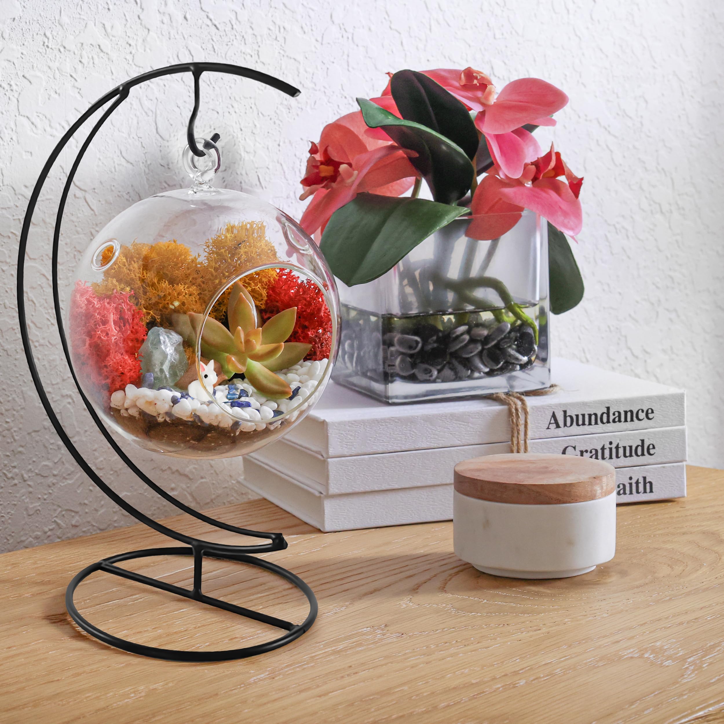 DIY Terrarium Kit for Adults & Kids - Complete Glass Hanging Planter with Stand, Moss, Crystals, Rocks & Mini Tools - Creative Home Decor & Educational STEM Gift for Plant Lovers (Perfect for Indoor Gardening, Office Desk Decor & Classroom Science Projects)