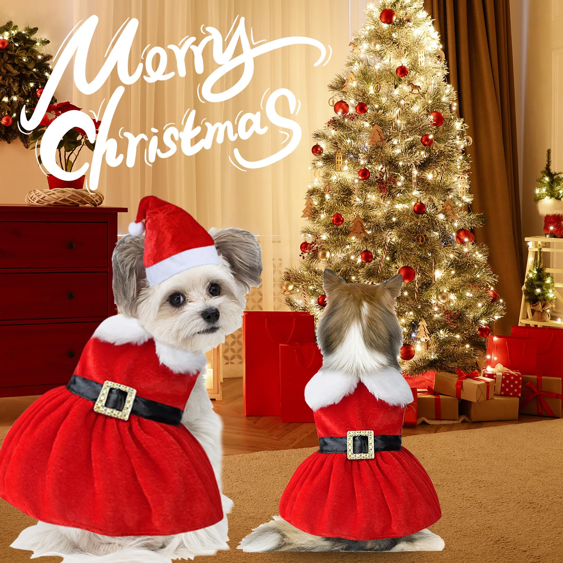 Dog Christmas Costume Set - Santa Dress & Hat for Small, Medium, Large Dogs | Festive Holiday Pet Outfit for Christmas Parties & Photo Shoots