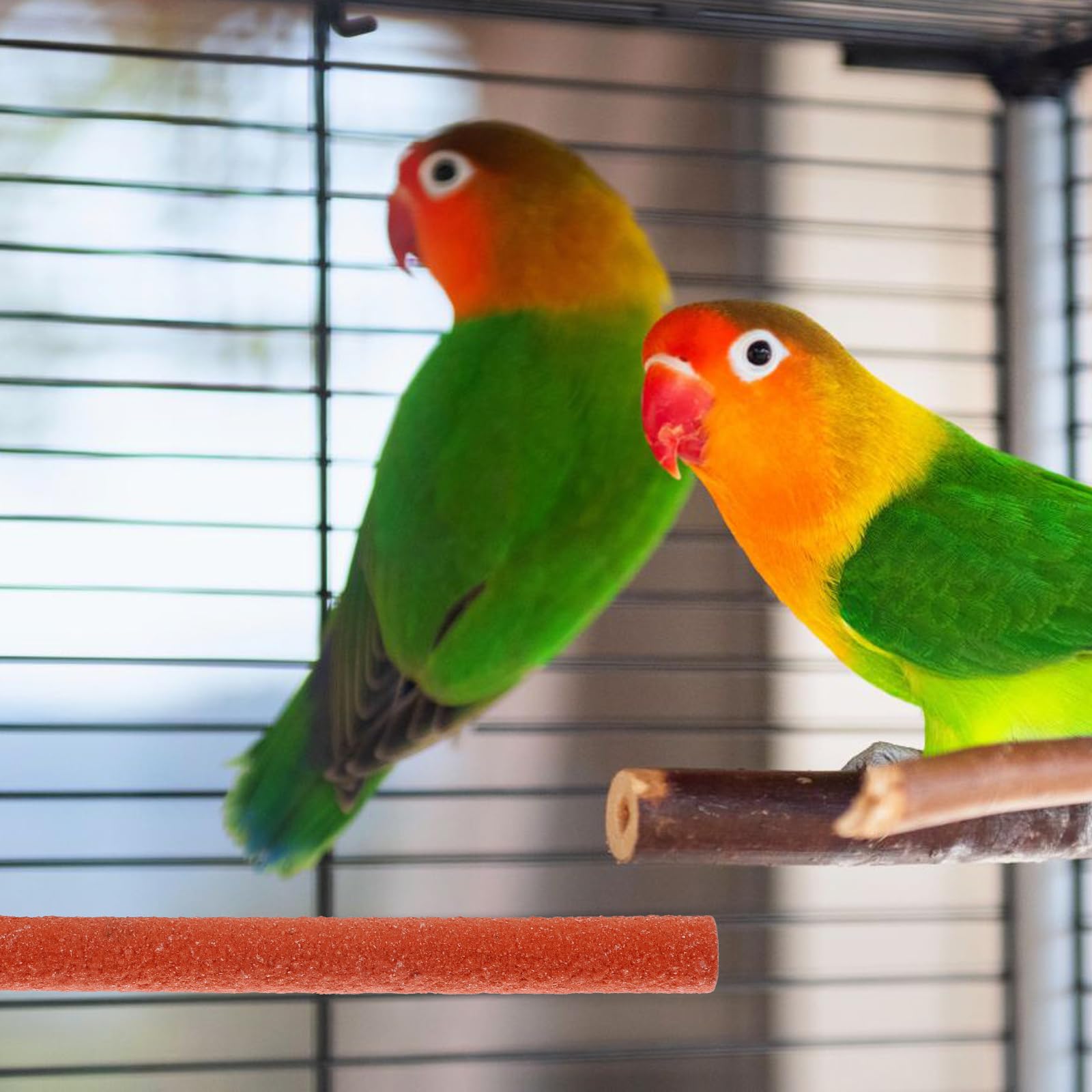 Natural Wood Parrot Perch Stand for African Greys - Adjustable Bird Perch with Grinding Stick & Ladder - Perfect for Pet Training, Play & Beak Care - Ideal for Cages, Play Gyms & Bird Enrichment Activities