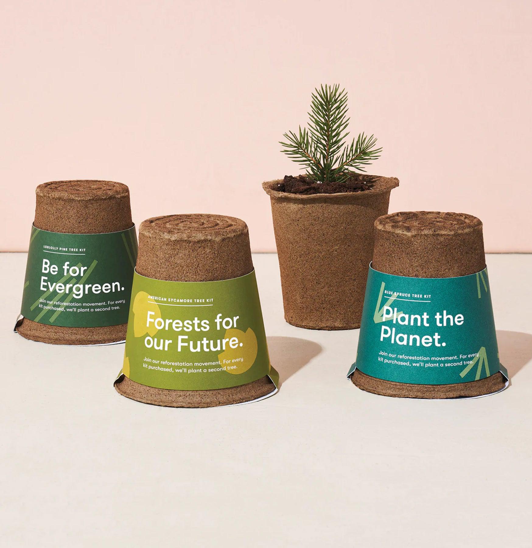 Tree Kit - Complete Tree Planting & Care Set for Home Garden, Backyard & Landscaping | Perfect for DIY Arborists & Nature Lovers