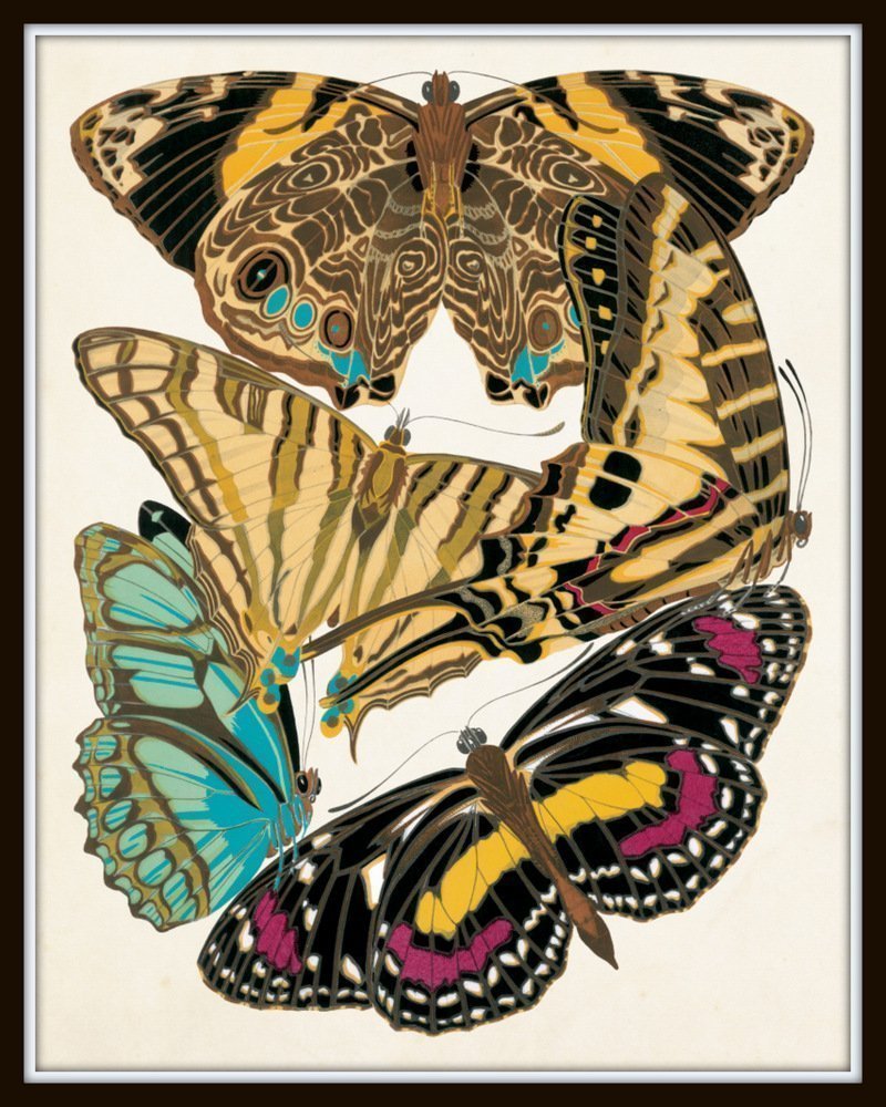 Art Nouveau Butterfly Print Set No.1 - 12 Giclee Seguy Butterfly Wall Art Prints (Unframed) - Perfect for Home Decor, Office Wall Art & Gift Giving