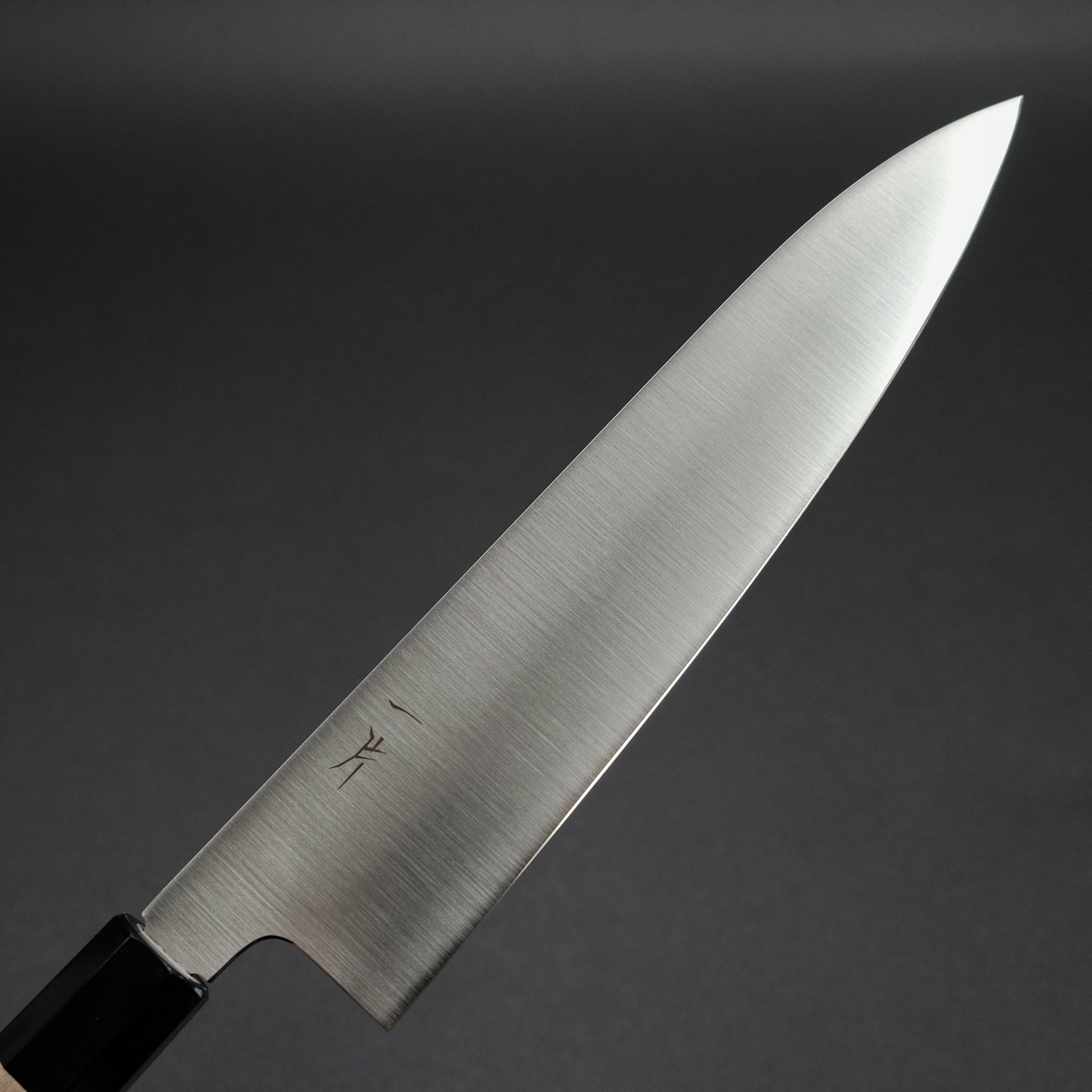 Hitohira FJ VG-10 Gyuto Japanese Chef Knife 240mm with Ho Wood Handle - Professional Kitchen Knife for Slicing, Dicing & Meat Cutting