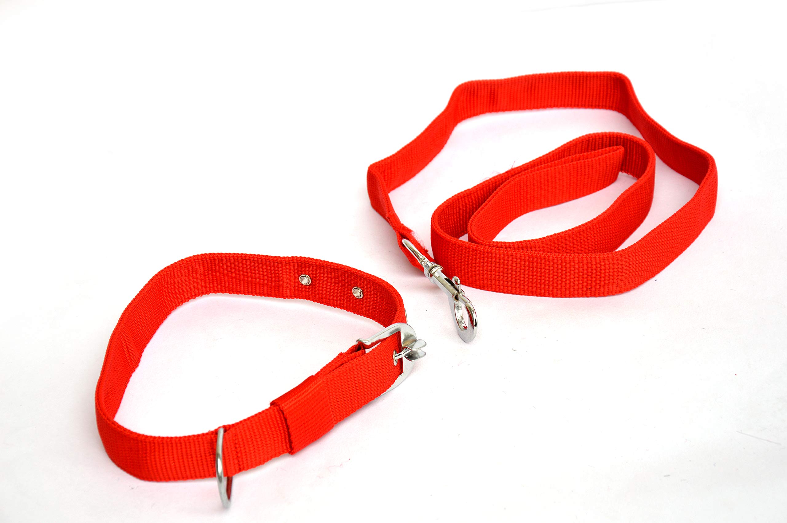 Premium Dog Leash and Collar Set for Large Dogs - Adjustable, Durable Nylon Pet Walking Accessories (Color May Vary) - Perfect for Daily Walks, Training & Outdoor Adventures