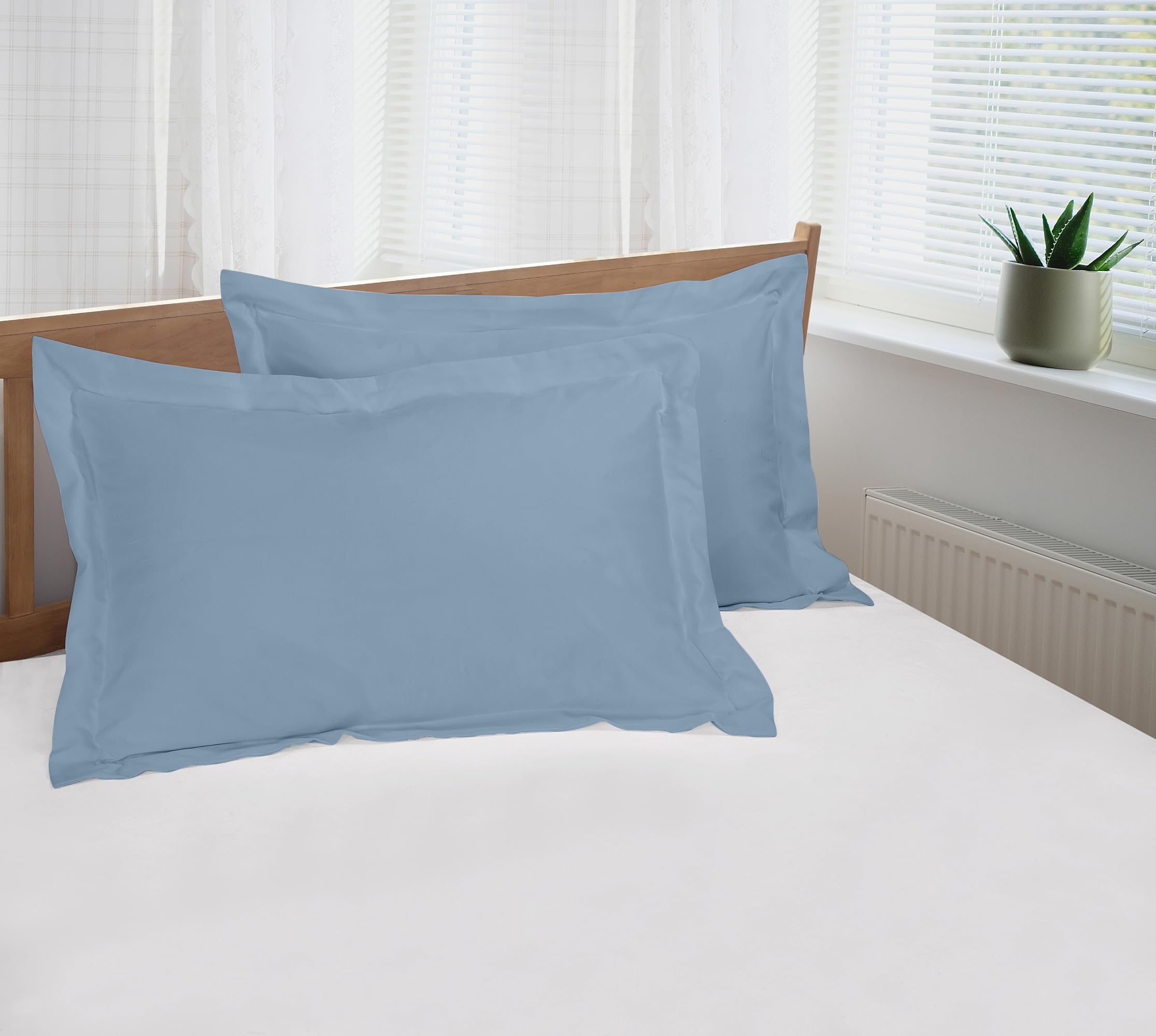 Royale Linens 2-Pack Queen Size Pillow Shams 20x30 Inch - 1800 Brushed Microfiber, Wrinkle Resistant, Super Soft & Cozy - Back Overlap Closure Oxford Pillowcases (Queen, Lake Blue) - Perfect for Bedroom Decor, Guest Rooms & Luxury Hotels