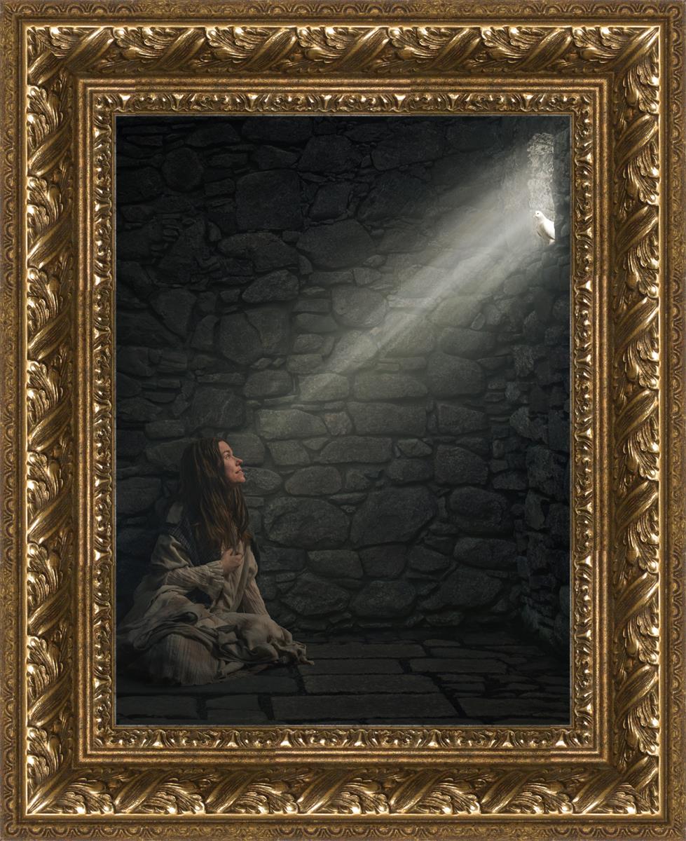 A Captive's Hope - Inspirational Book for Overcoming Adversity | Perfect for Self-Help, Motivation & Personal Growth