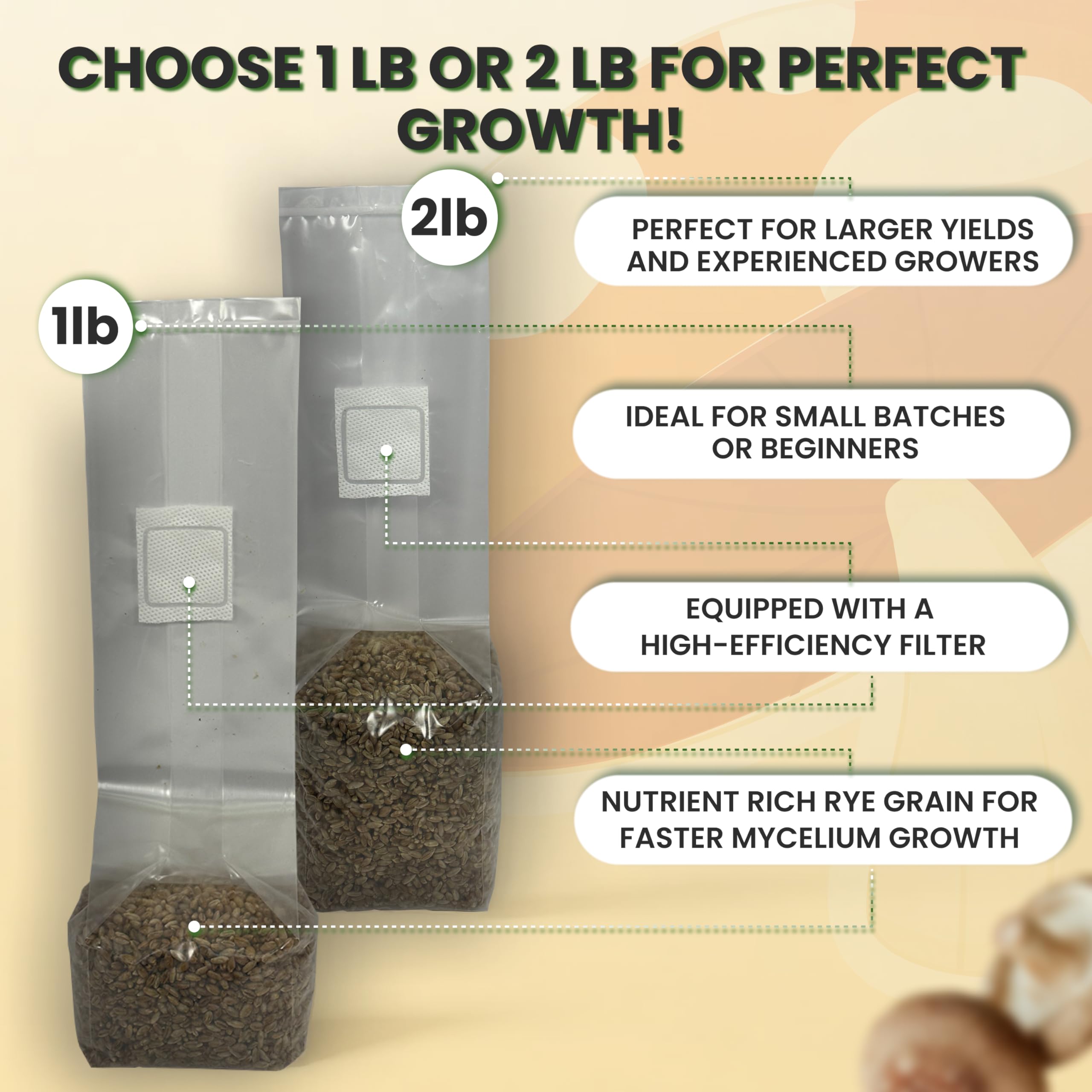 Magic Mushroom Growing Kit - Sterilized Rye Grain Substrate for Home Cultivation | 24 Pack Indoor Grow Bags (1lb Each) | No Spores or Injection Ports Included | Perfect for Beginners & Organic Gardening Enthusiasts