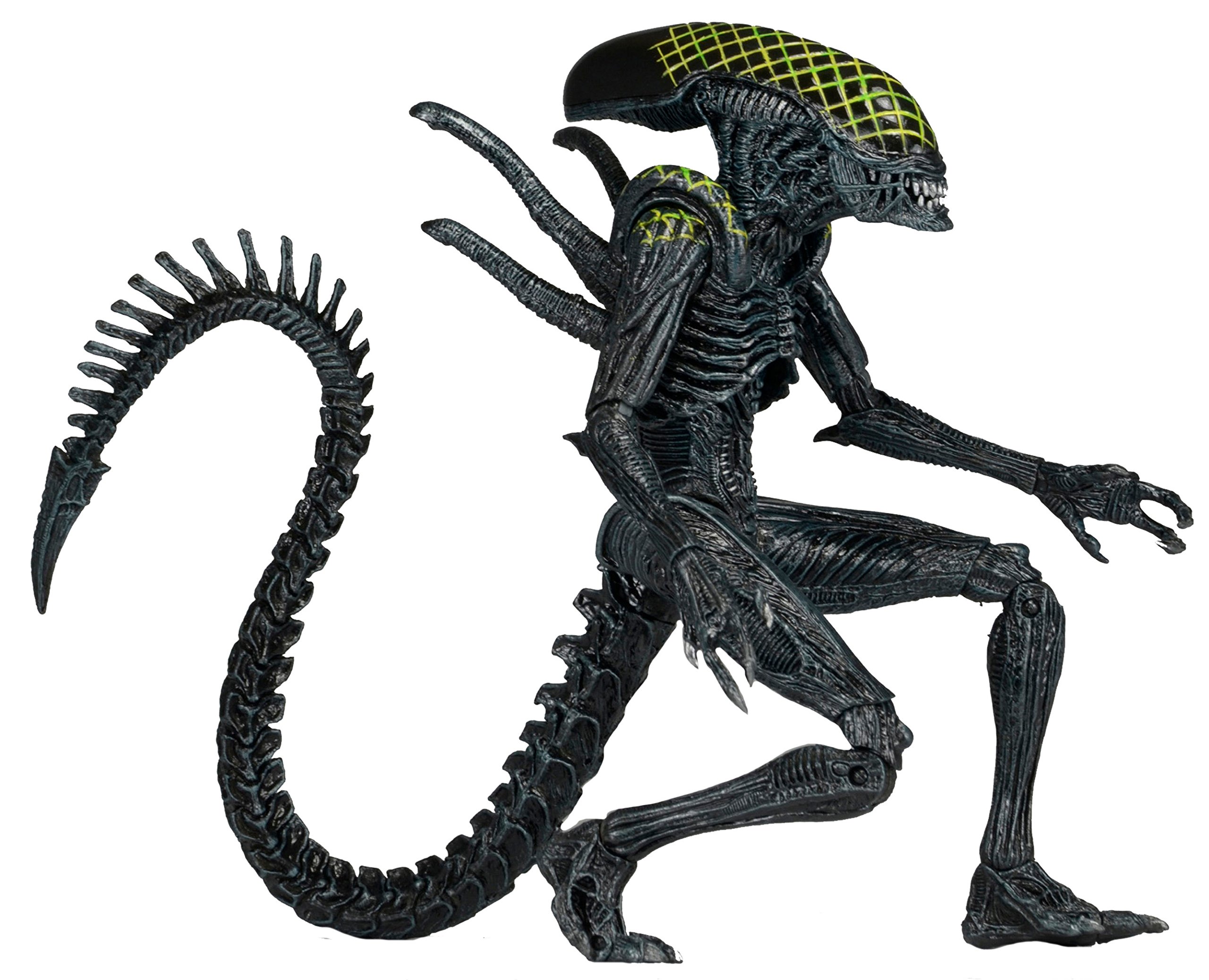 NECA Aliens vs Predator Series 7 Grid Action Figure 7