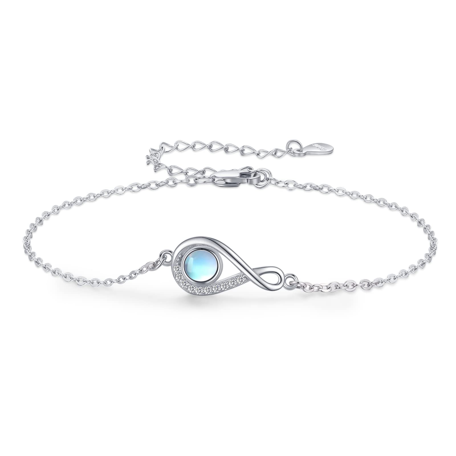 925 Sterling Silver Bracelets for Women - Dinosaur, Rose, Hummingbird, Infinite Love & Elephant Charms | Trendy Animal Jewelry Gift for Girlfriend, Wife, Daughter | Perfect for Birthdays, Anniversaries & Everyday Wear
