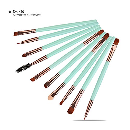 Premium 10-Piece Makeup Brush Set - Soft Boar Hair Bristles for Flawless Face & Eye Makeup Application | Perfect for Travel, Professional Use & Everyday Beauty Routine