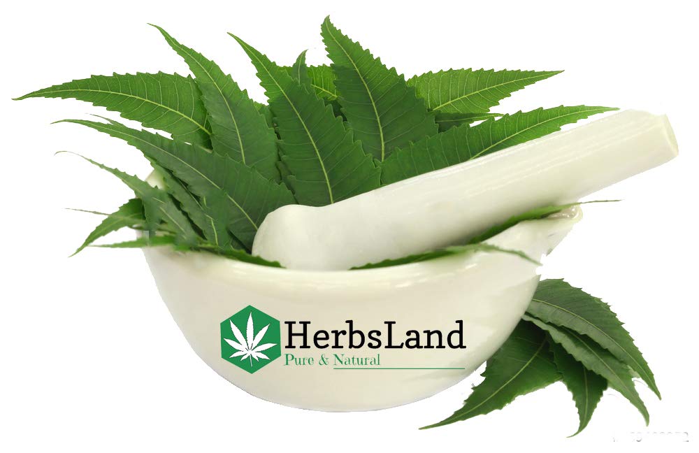 HerbsLand® 100% Natural Beetroot Powder (Beta Vulgaris) - Superfood for Detox & Energy | Multani Mitti Clay & Neem Leaf Powder for Glowing Skin - 100g Each | Perfect for Smoothies, Face Masks & Natural Skincare Routine