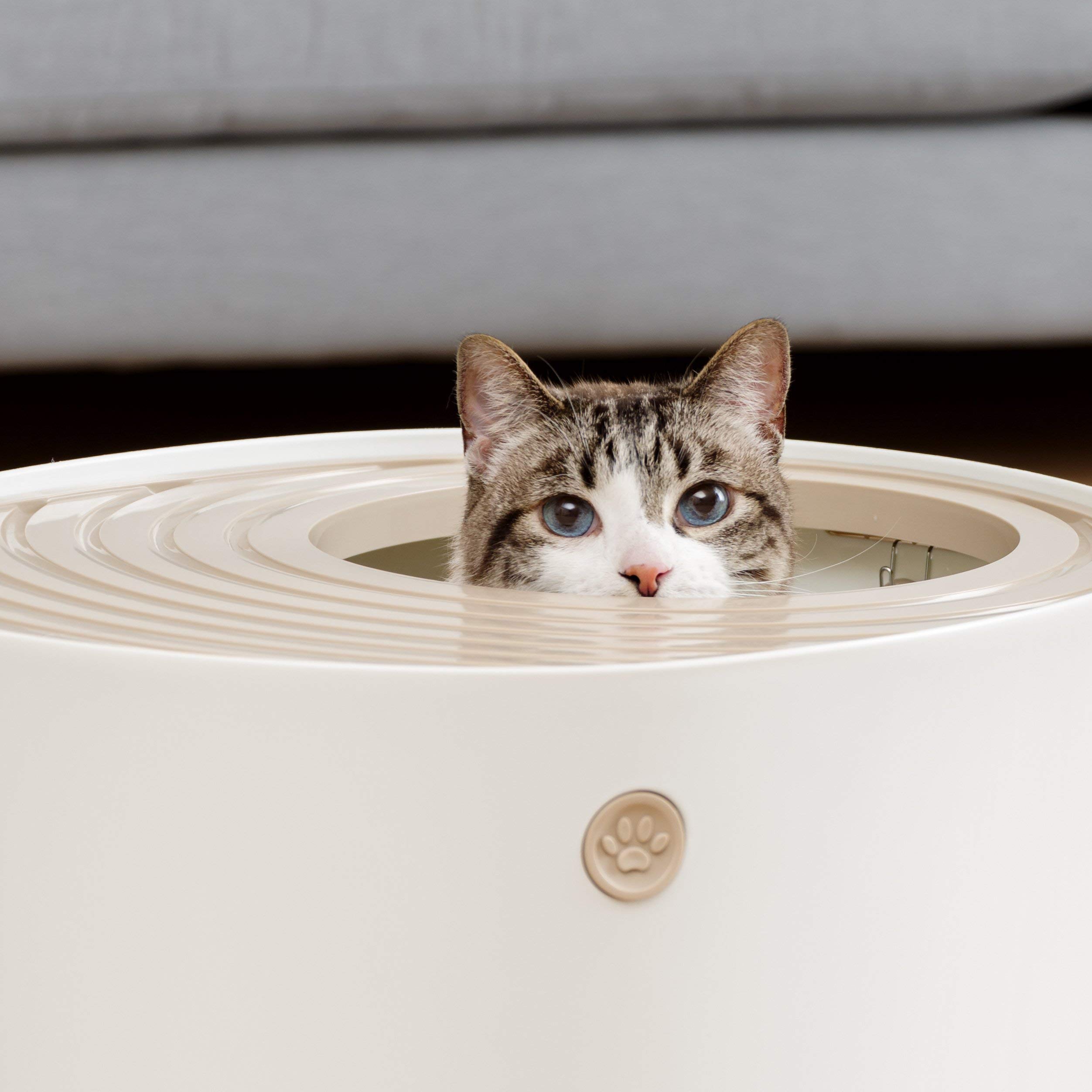 IRIS Top Entry Cat Litter Box with Scoop - Odor Control, High Sides, Privacy Hood - White/Beige & Black/Gray Options - Perfect for Small Spaces & Multi-Cat Homes