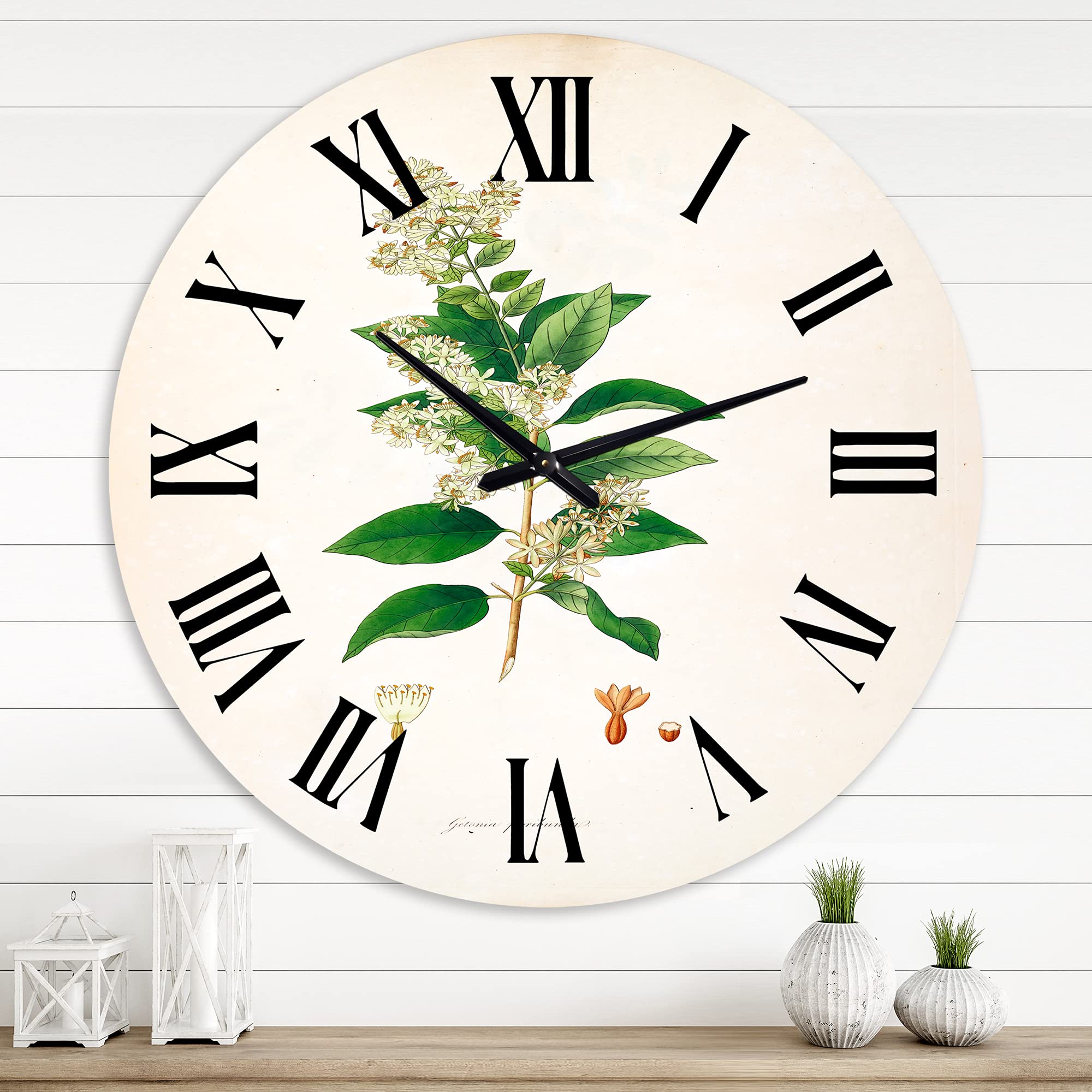 Vintage Botanicals XVII Farmhouse Wall Clock - Large Floral & Botanical Decor for Living Room, Kitchen, Bedroom | Rustic Home Wall Art