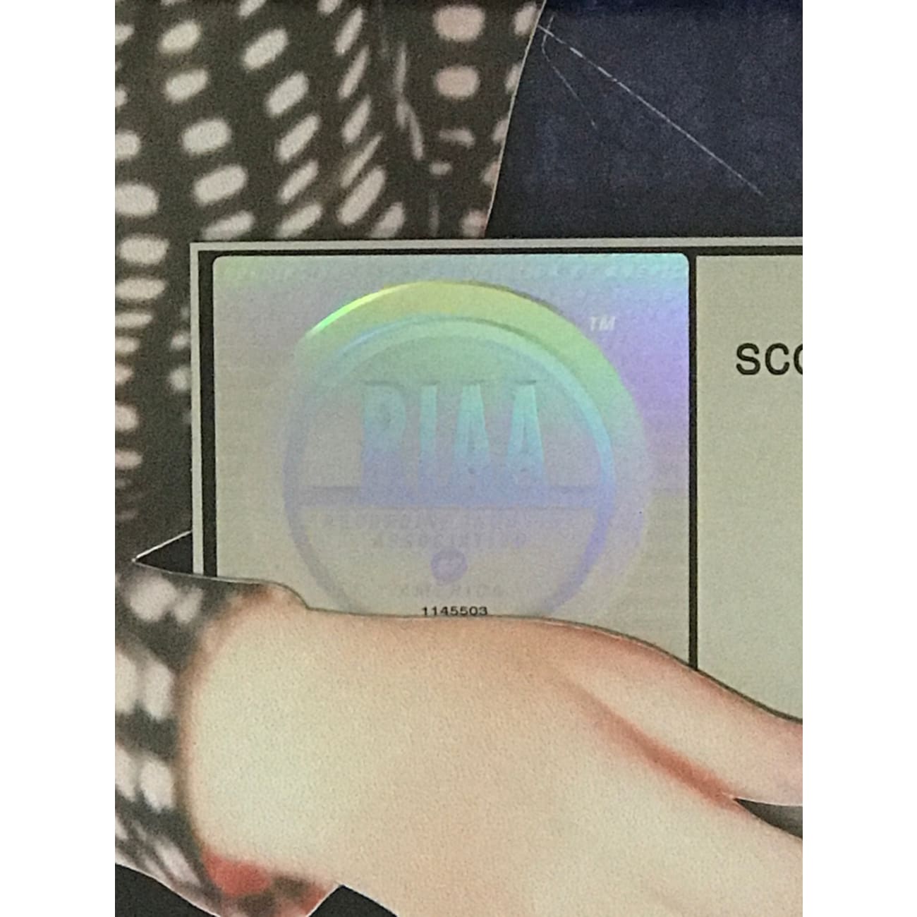 Charlotte Church Dream A Dream & Self Titled Combo RIAA Platinum Album Award - New & Sealed Collectible Music Memorabilia - Perfect for Fans, Collectors, and Music Enthusiasts Display
