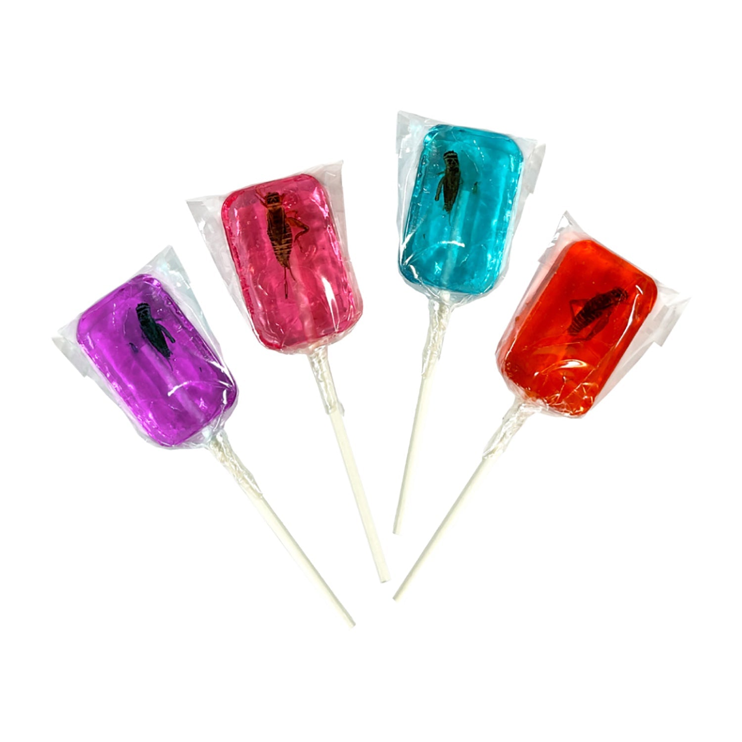 Hotlix Edible Cricket Lollipops - Assorted Flavors, 1oz (36 Count) - Unique Bug Candy for Halloween, Prank Gifts & Adventure Snacks