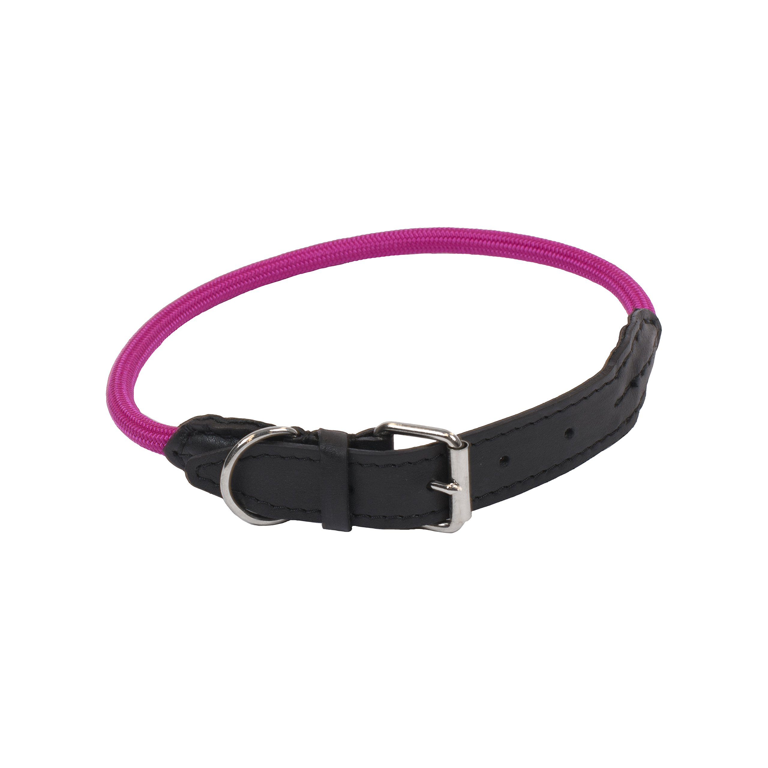 720/926 Dog Collar with Reflective Stitching - Durable Nylon Pet Collar for Small to Medium Dogs - Perfect for Walking, Hiking & Outdoor Adventures
