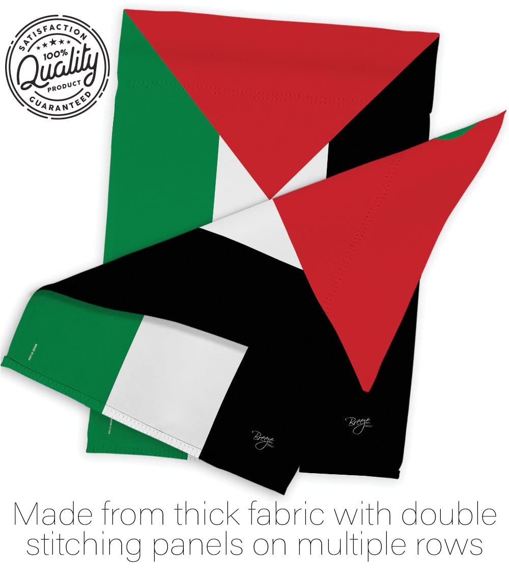 Palestine National Flag 28