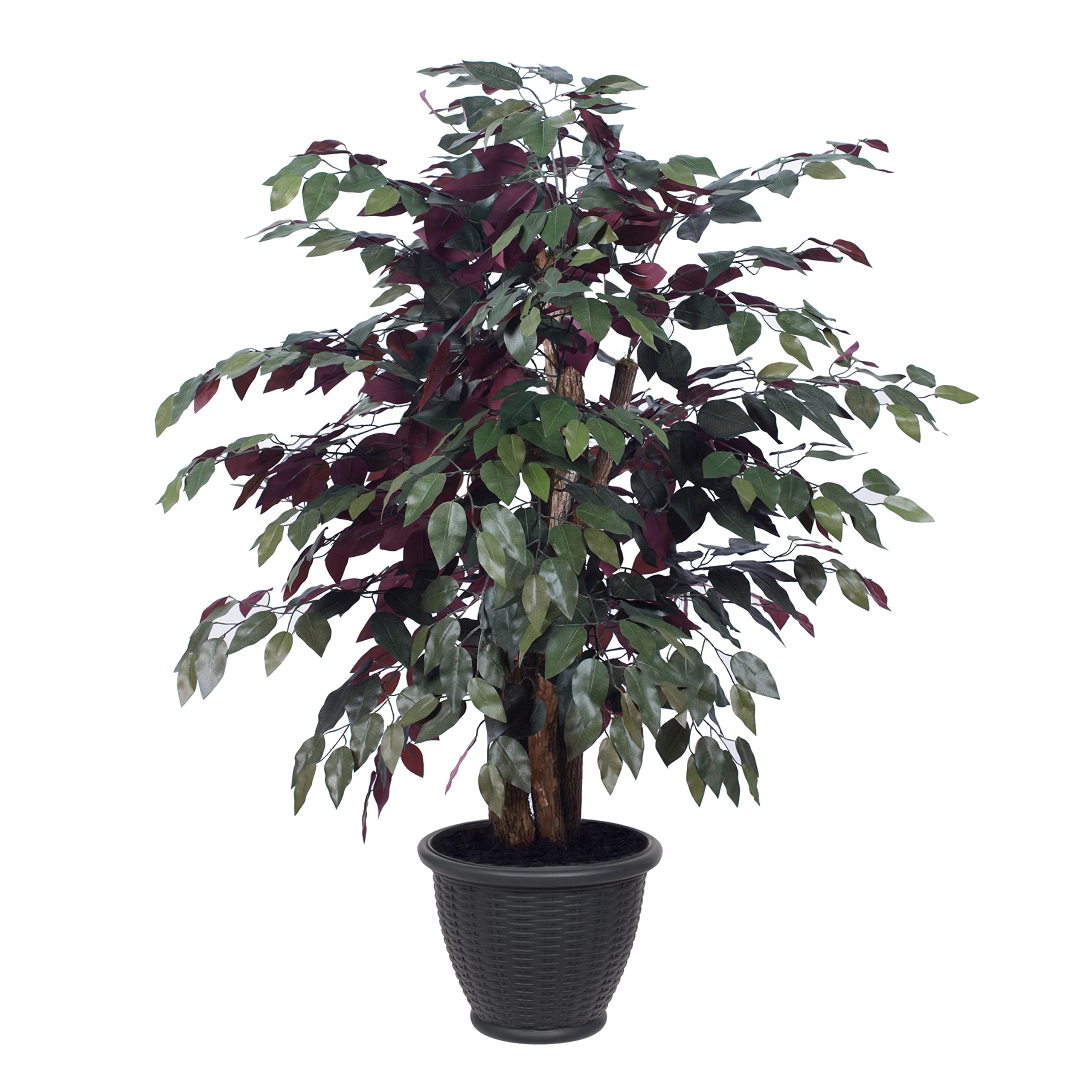Vickerman 4ft Artificial Capensia Bush - Extra Full Indoor Fake Plant with Gray Plastic Pot - Perfect for Home Decor, Office Plants & Wedding Centerpieces