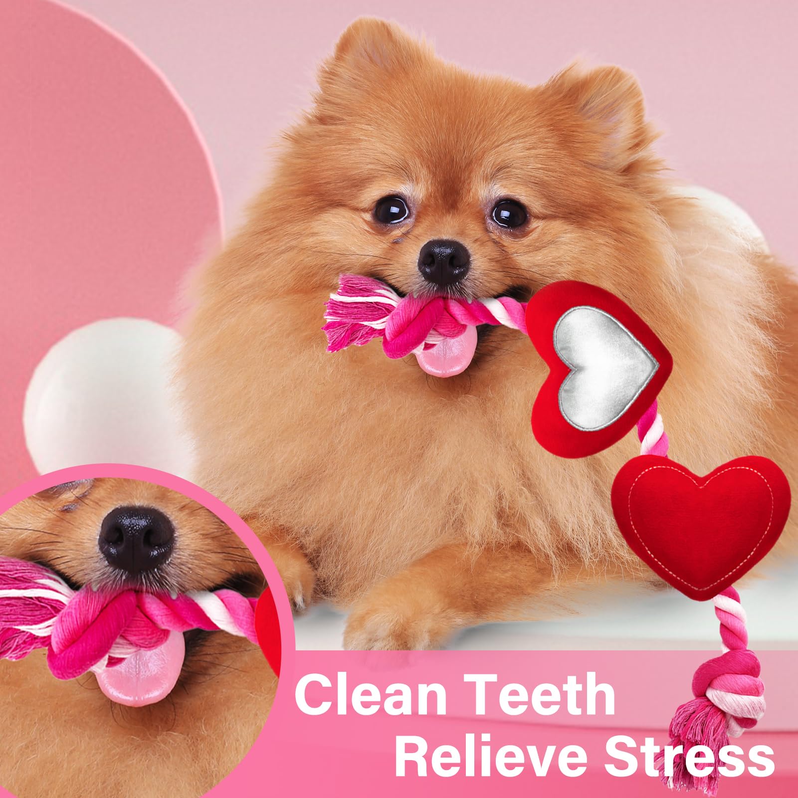 Valentine's Day Dog Toys - Durable Rope & Plush Squeaky Heart Dog Chew Toy for Tug of War | Perfect Valentine Gift for Small & Medium Dogs | Great for Playtime, Training & Bonding with Your Pet