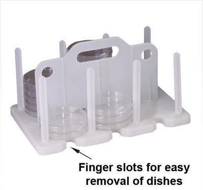 Stainless Steel Petri Dish Rack - Lab-Grade Drying & Storage Organizer for Science Experiments, Microbiology & Classroom Labs