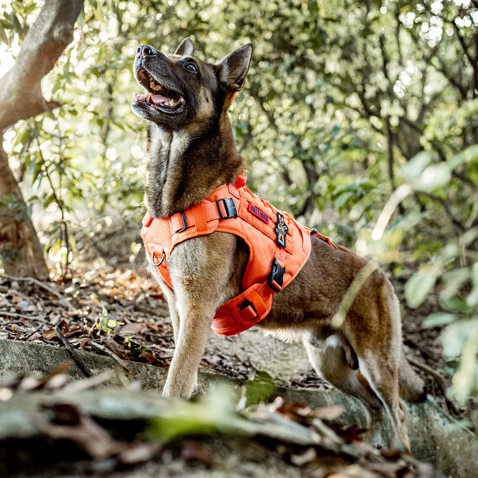 OneTigris Tactical Dog Harness Vest with Handle - Military Grade Adjustable No-Pull Service Vest for Large & Medium Dogs (XL, Orange) | Perfect for Walking, Hiking, Training & Outdoor Adventures