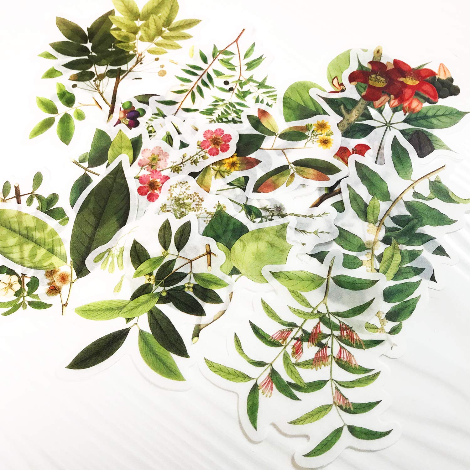 60pcs Green Plant Stickers for Laptop, Scrapbook, Notebook, Luggage & Glasses - DIY Decorative Vinyl Stickers Set with Plants Map Design - Perfect for Journaling, Gift Wrapping & Personalizing Accessories