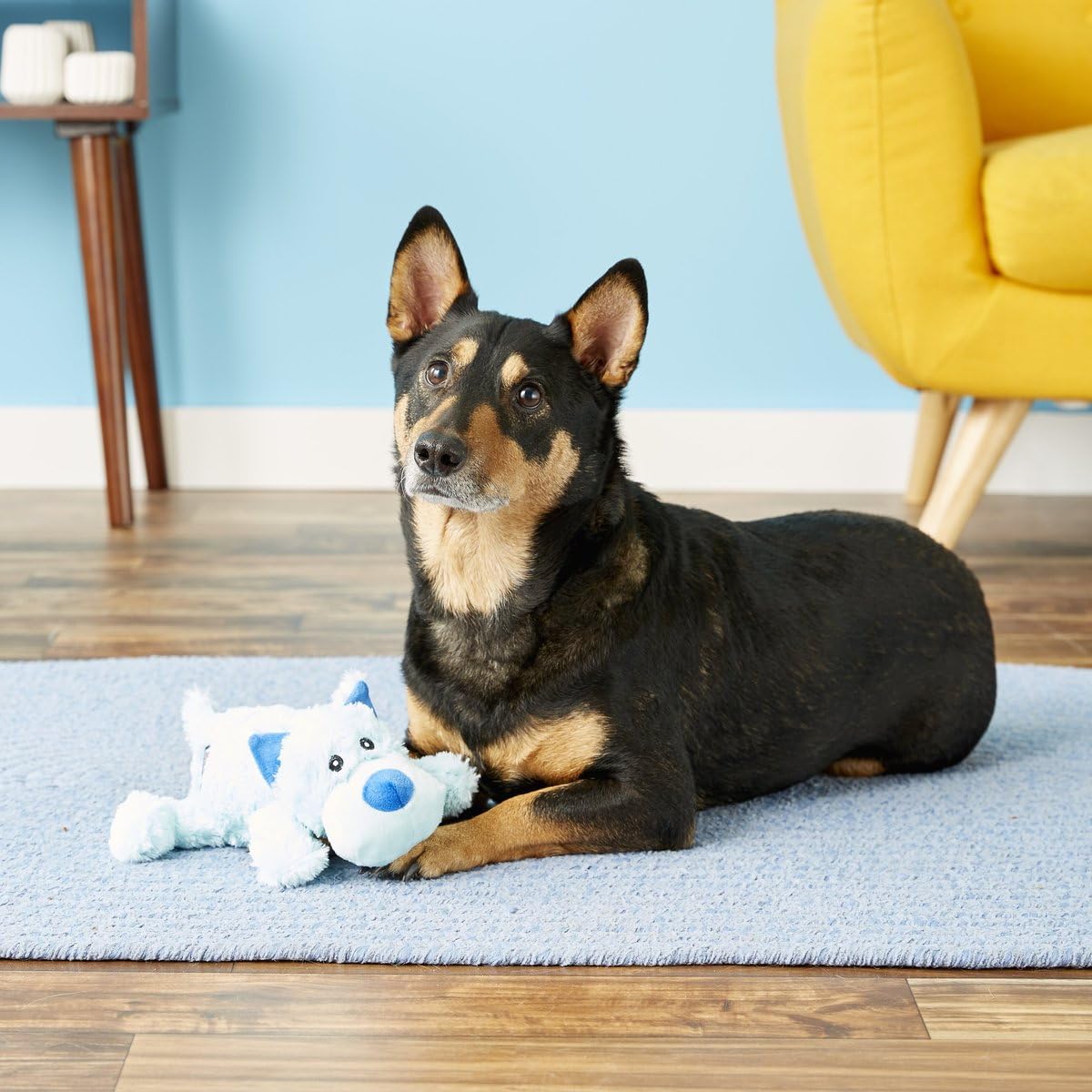 KONG Cozie Marvin The Moose Plush Dog Toy & Medium Cozie Baily The Blue Dog Toy Bundle - Soft Chew Toys for Small to Medium Dogs, Perfect for Cuddling and Playtime at Home or Outdoors