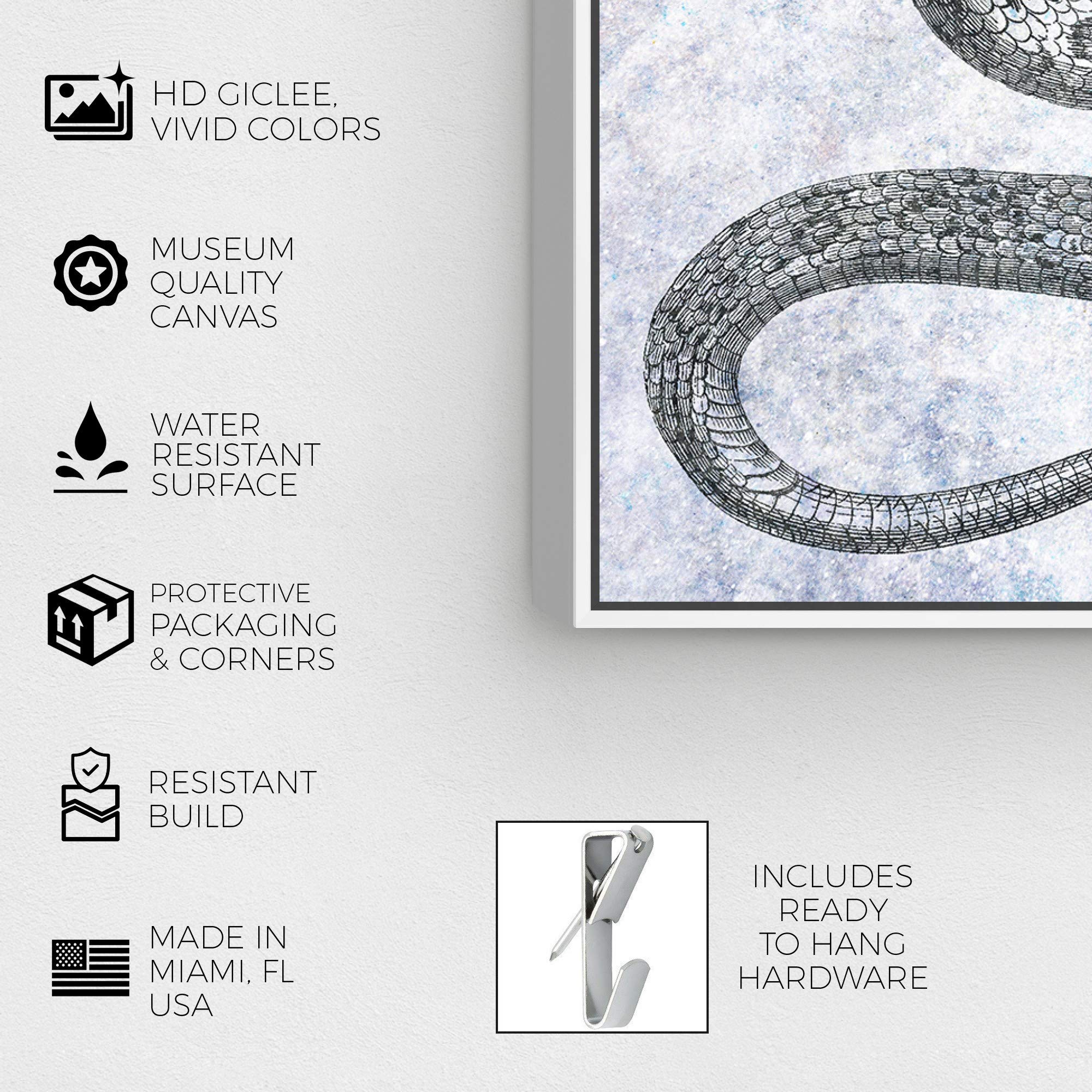 Single Snake Wall Art Framed Canvas Print - Zoo & Wild Animals Home Decor by Hatcher & Ethan - 16x24 Inches - Perfect for Living Room, Bedroom, or Office Wall Decor