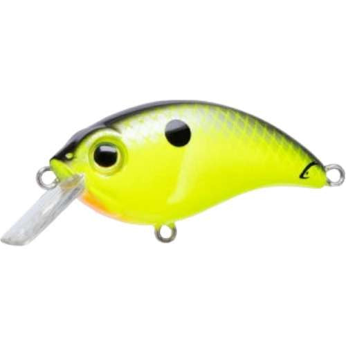 Bluegill