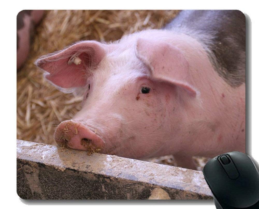 Cute Pig Gaming Mouse Pad - Non-Slip Rubber Base Mousepad for PC, Laptop, Office & Home Use - Adorable Piggy Design for Gamers and Work