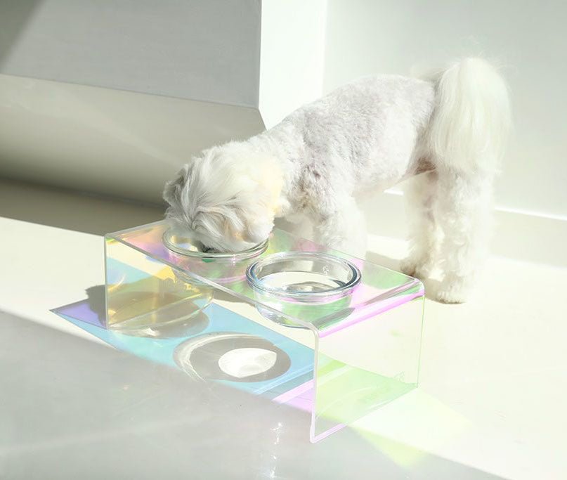 Holographic Aurora Elevated Pet Feeding Table - Adjustable Height, Anti-Slip Design for Dogs & Cats | Pre-Order Now for Comfortable Mealtime at Home