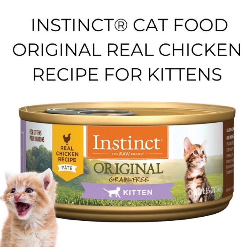 Grain-Free Chicken Wet Cat Food for Kittens - High Protein, Natural Ingredients - Perfect for Picky Eaters & Sensitive Stomachs