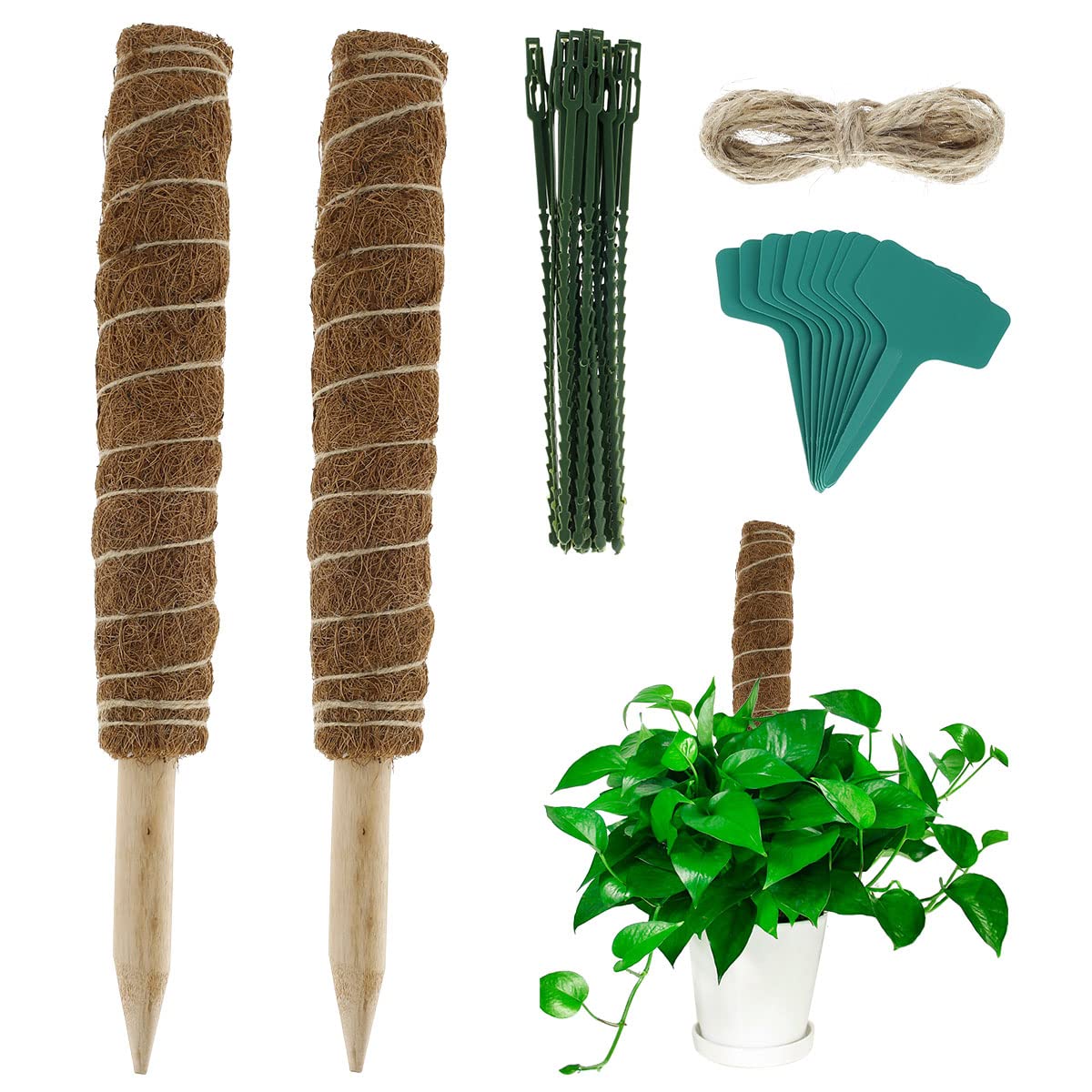 30/40CM Coco Coir Moss Pole for Climbing Plants - 2 Pack with Plant Ties & Labels - Indoor Garden Plant Support Sticks for Monstera, Pothos, Philodendron - Perfect for Home Decor & Vertical Gardening