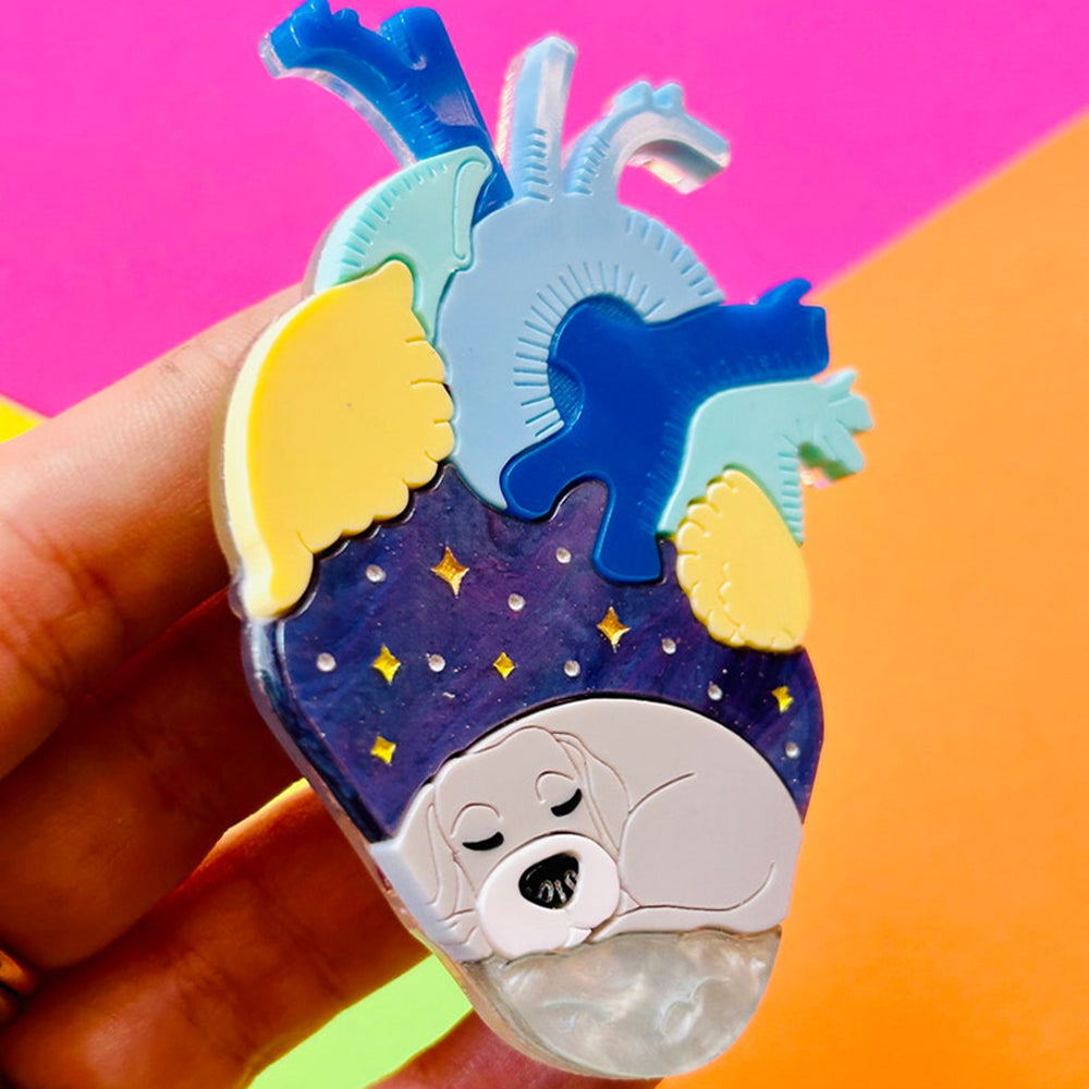 Anatomical Hearts Collection - You Live Here Cat & Dog Acrylic Brooch Pin by Makokot Design - Perfect for Pet Lovers, Fashion Accessories & Gift Giving
