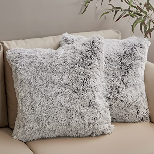 Gray Ombre