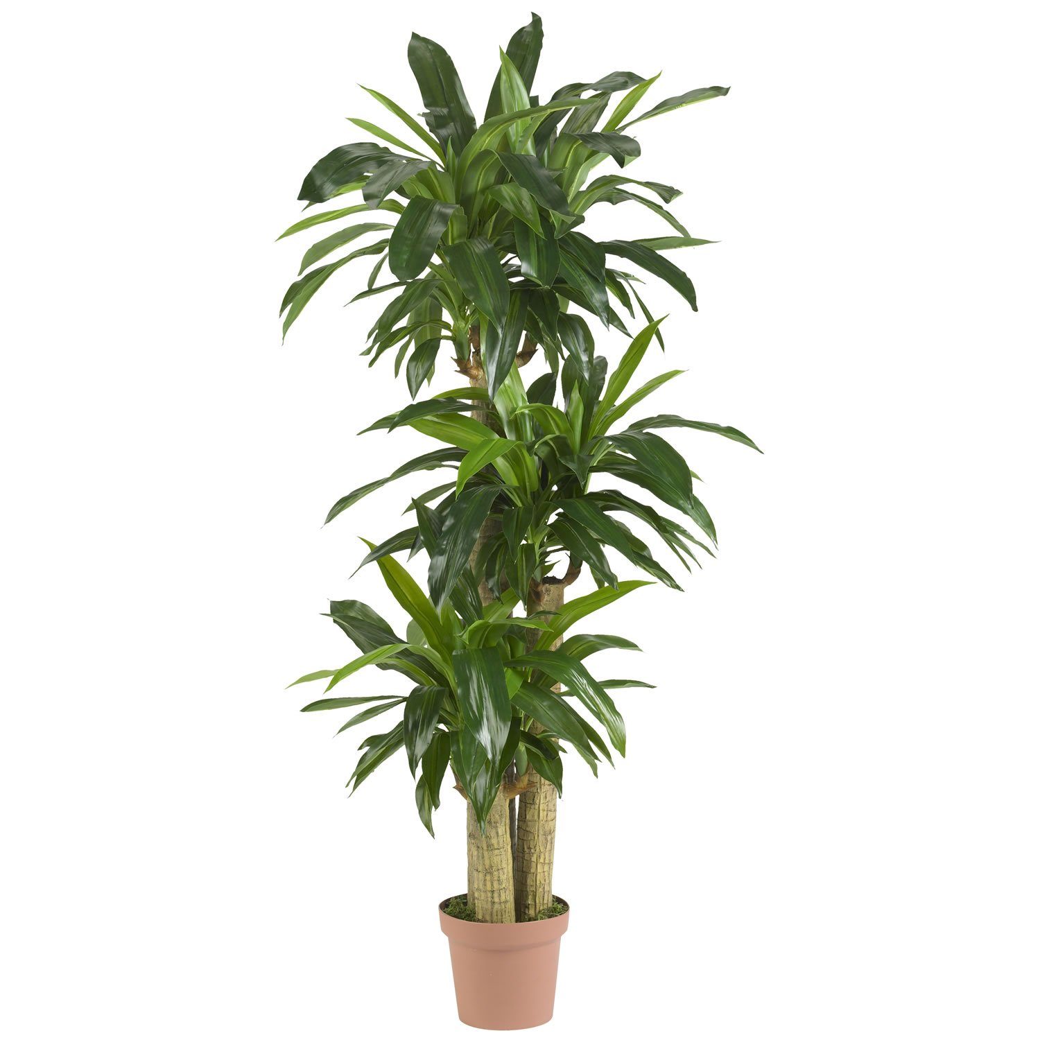 Nearly Natural 62IN Artificial Corn Stalk Dracaena Plant - Tall Fake Plant for Indoor Home Décor, Real Touch Faux Plant - Perfect for Living Room, Office, or Bedroom Decoration