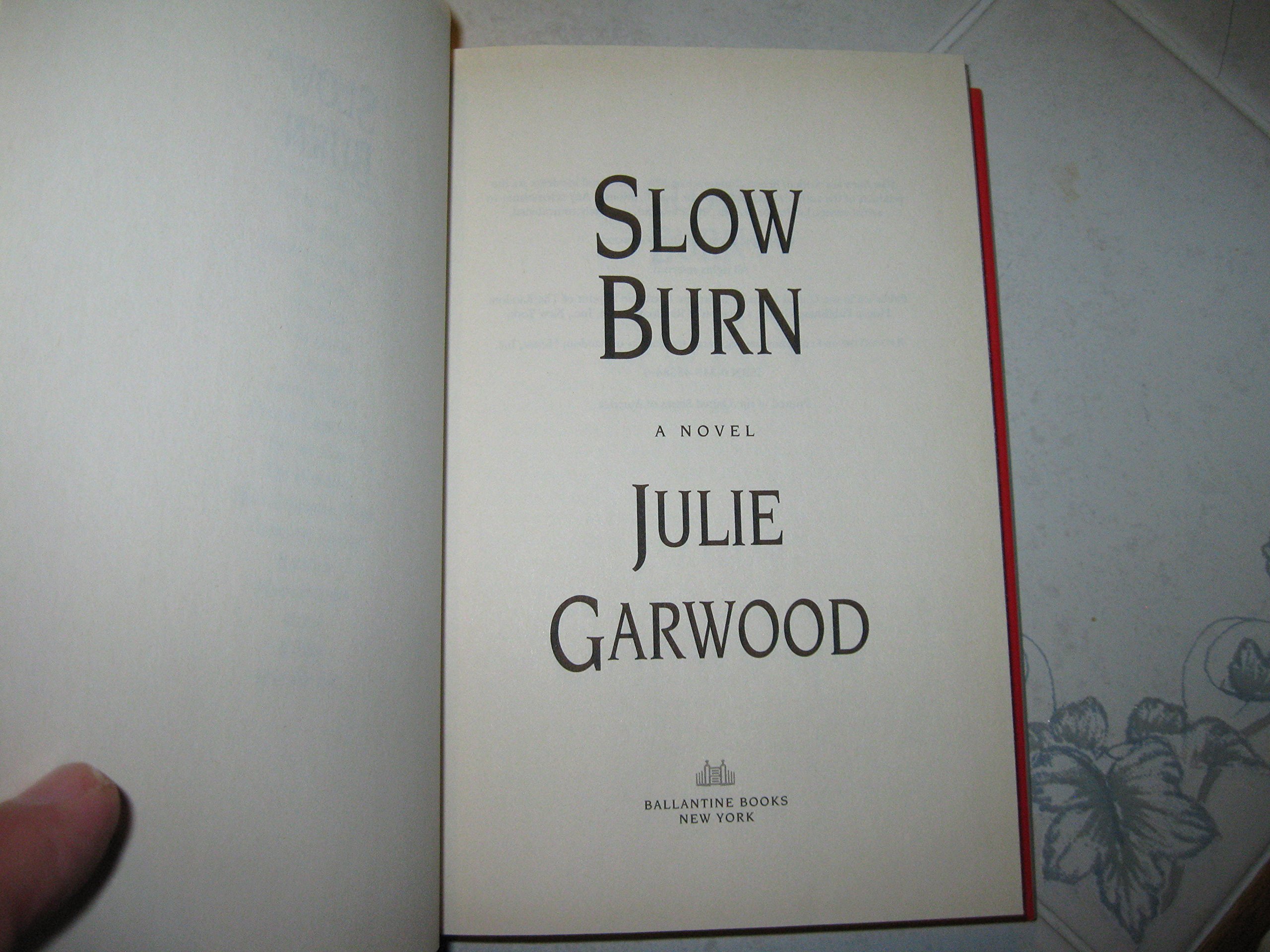 Slow Burn: A Suspense Thriller Novel - Perfect for Mystery Lovers & Book Club Discussions