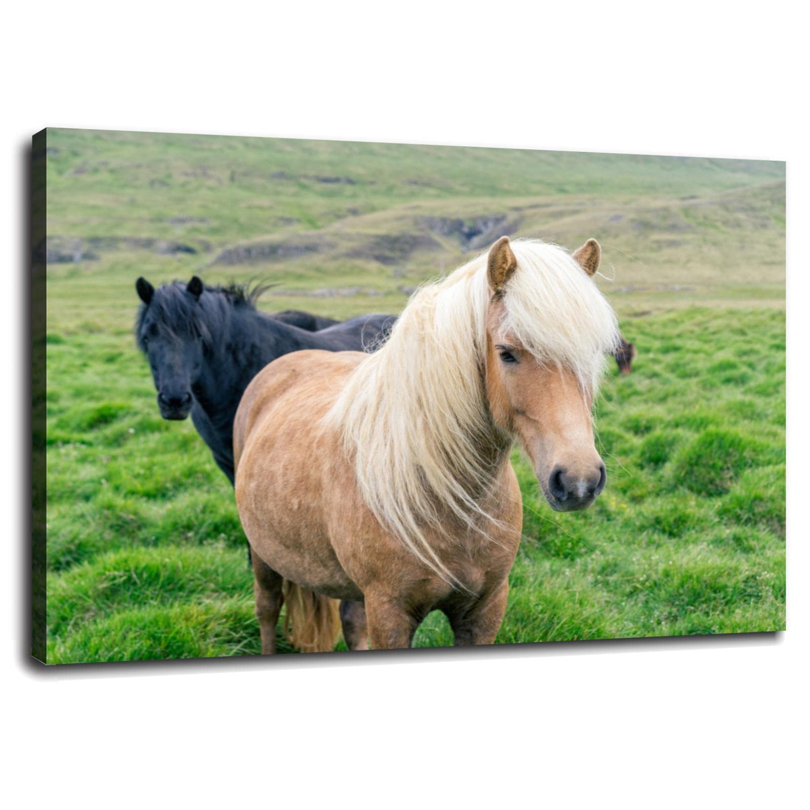 Farm Animal Wall Art - Cute Ponies Canvas Print Poster 36x24 Inch Framed for Home & Office Decor | Nursery, Living Room, Bedroom