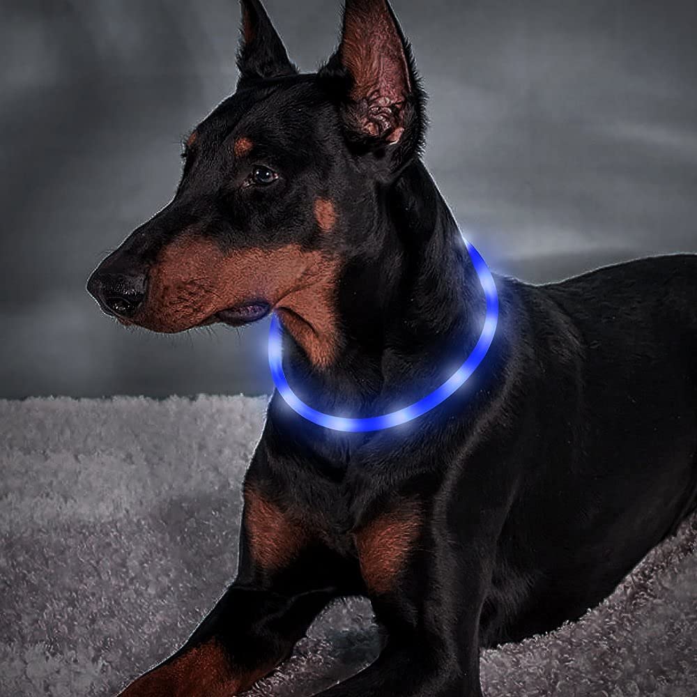 BSEEN Rechargeable LED Dog Collar - Glowing Safety Collar with Cuttable Design for Small, Medium & Large Dogs (Blue) | Perfect for Night Walks, Jogging & Outdoor Adventures